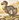 ExtinctDodoBird.jpeg